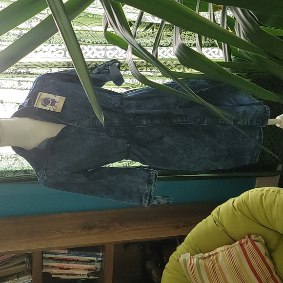 Blue Chambray Denim Shirt Dress by Mapale - Picture 4 of 7